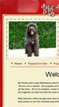 Mobile Screenshot of bigdoodlepups.com